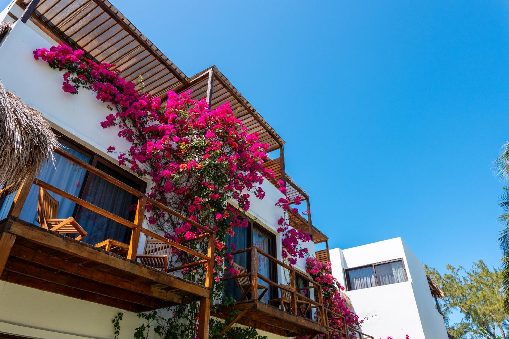 My Blue Hotel Holbox Extérieur photo