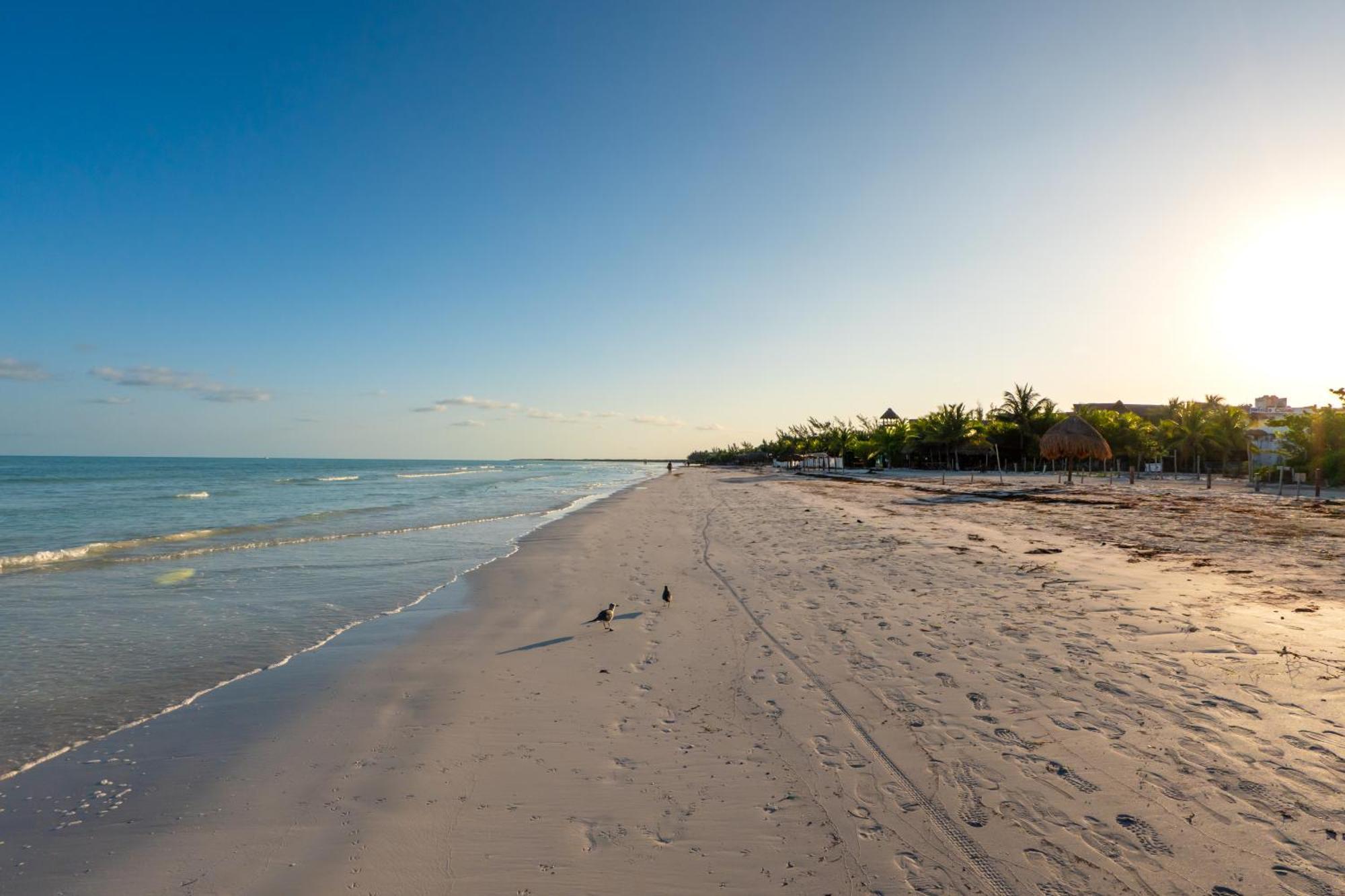 My Blue Hotel Holbox Extérieur photo